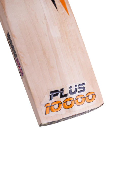 CA Plus 10000 Cricket Bat English Willow Bat