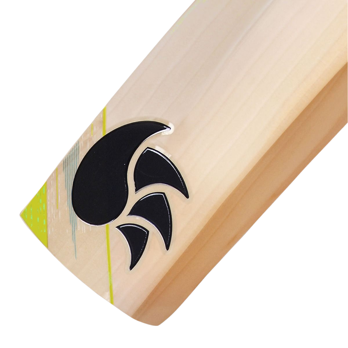 DSC Condor Surge Cricket Bat