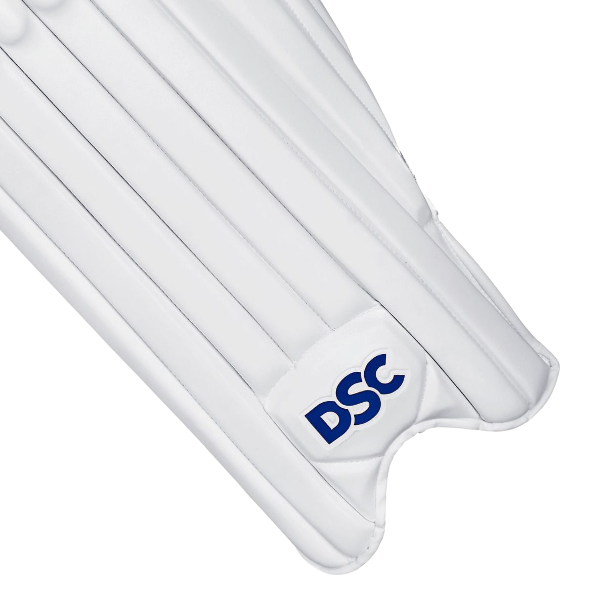 DSC Condor Intense Speed Batting Pads