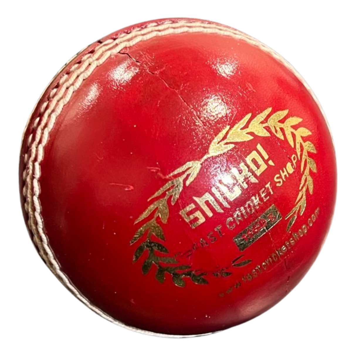 FCS Snicko Cricket Ball