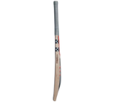 Gray Nicolls Predator Beast