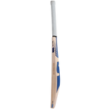 SG Triple Crown Icon Cricket bat
