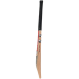 GN Delta GN5 Cricket Bat