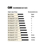 GM Verva 909