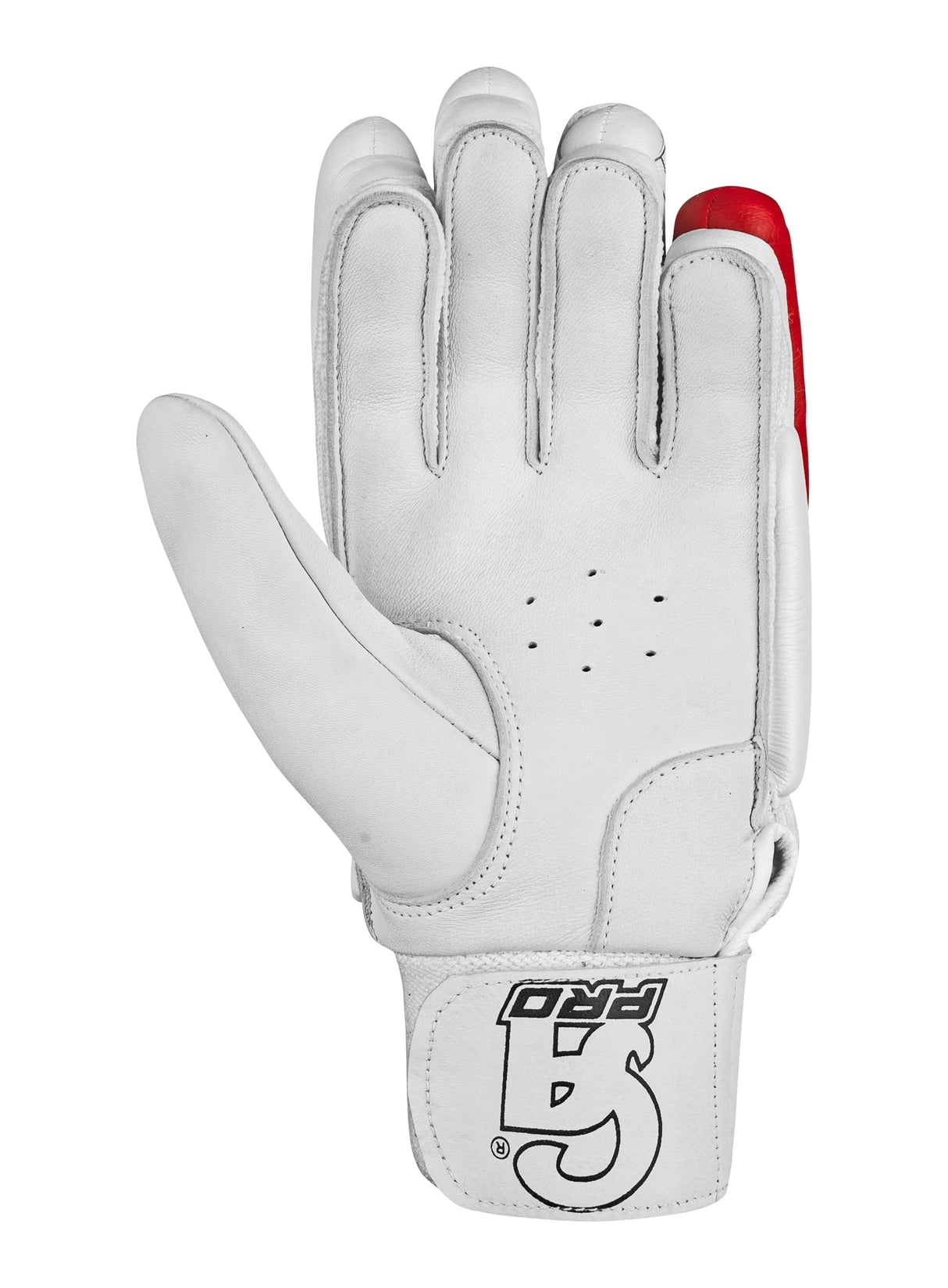 CA Pro Performance Edition