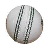 FCS Snicko Cricket Ball