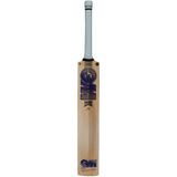 GM Brava 909