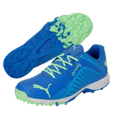 Virat 2025 kohli shoes