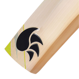 DSC Condor Surge  Cricket Bat