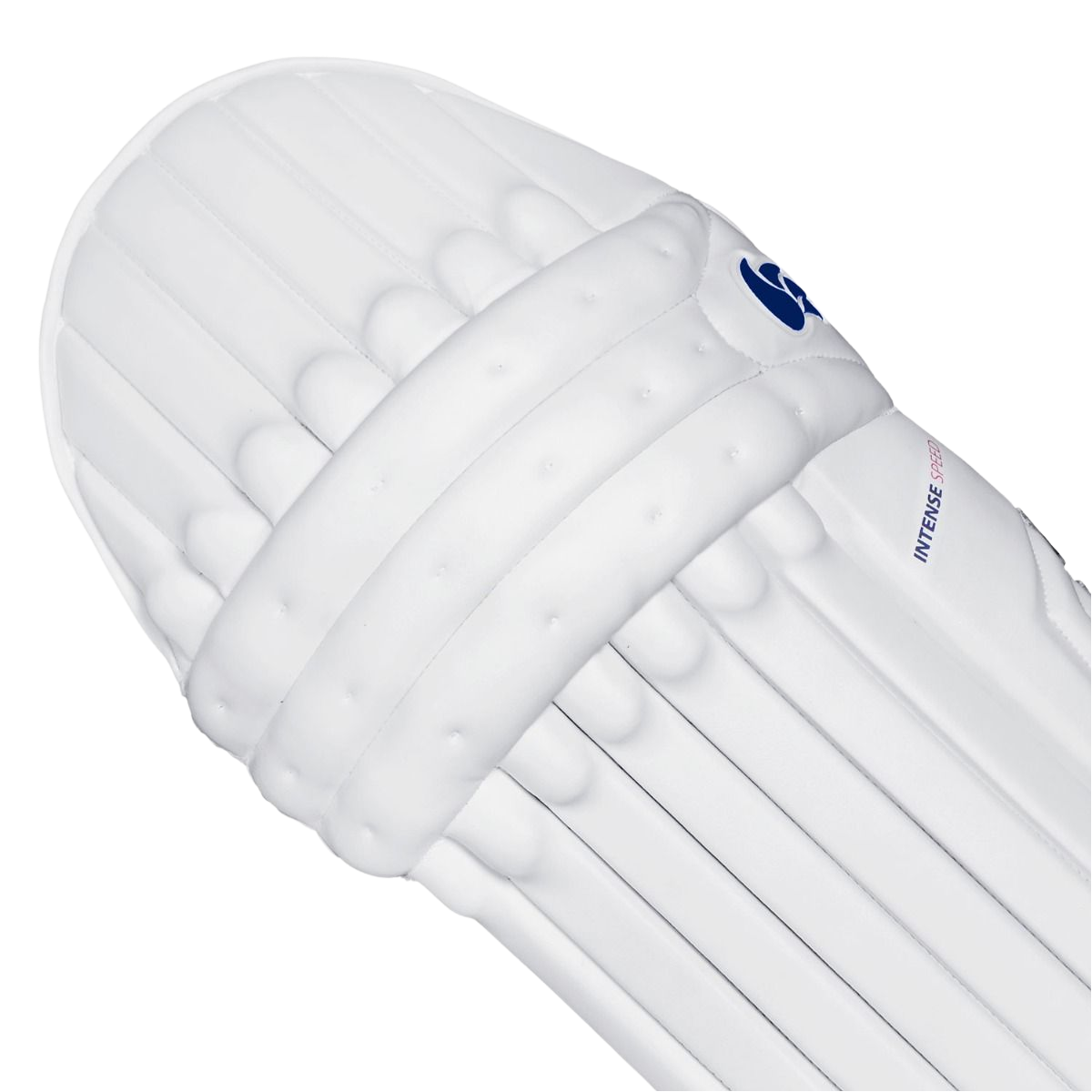 DSC Condor Intense Speed Batting Pads